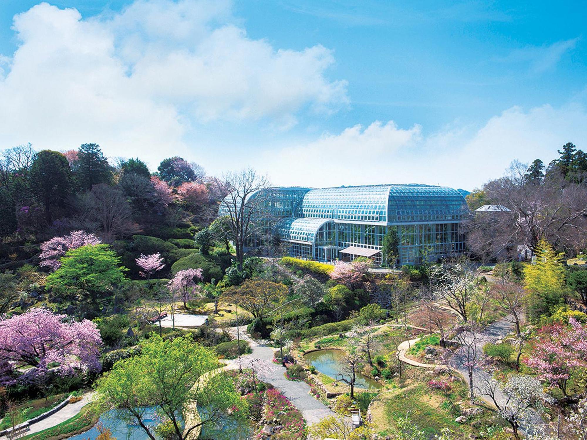 The Crown Palais New Hankyu Kochi Bagian luar foto